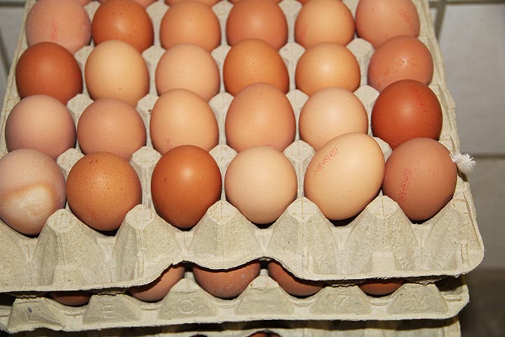 Braune Eier vom Bauernhof Vienenkötter