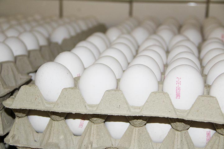 Weisse Eier vom Bauernhof Vienenkötter