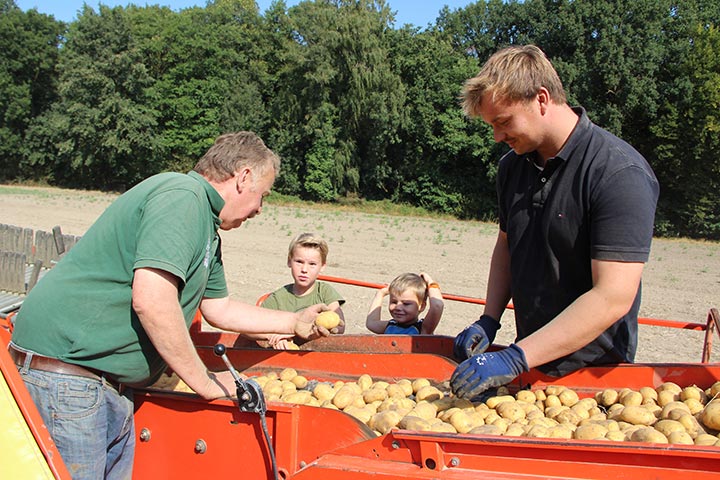 Kartoffelernte auf dem Bauernhof Vienenkötter